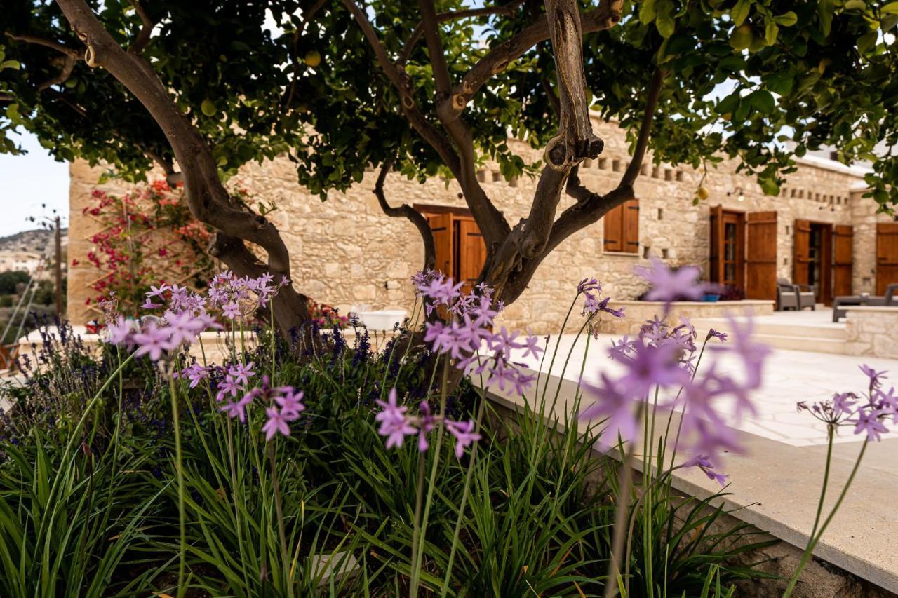 Harma Traditional Boutique Suites Paphos Kültér fotó