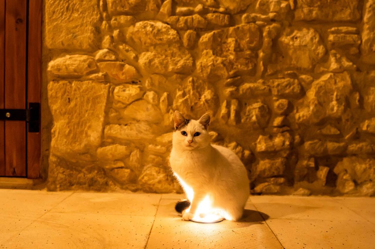 Harma Traditional Boutique Suites Paphos Kültér fotó